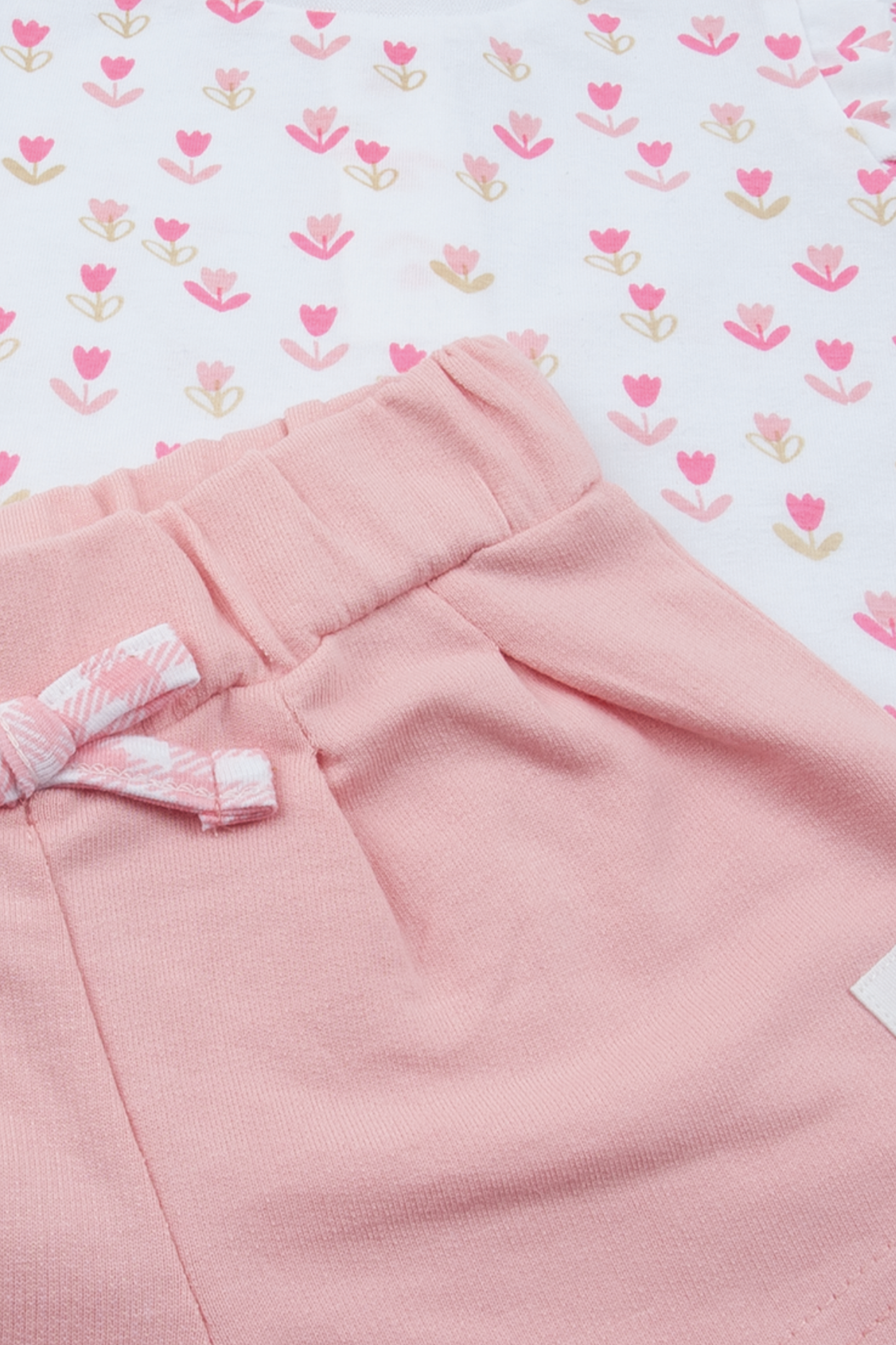 Conjunto Amor Campestre