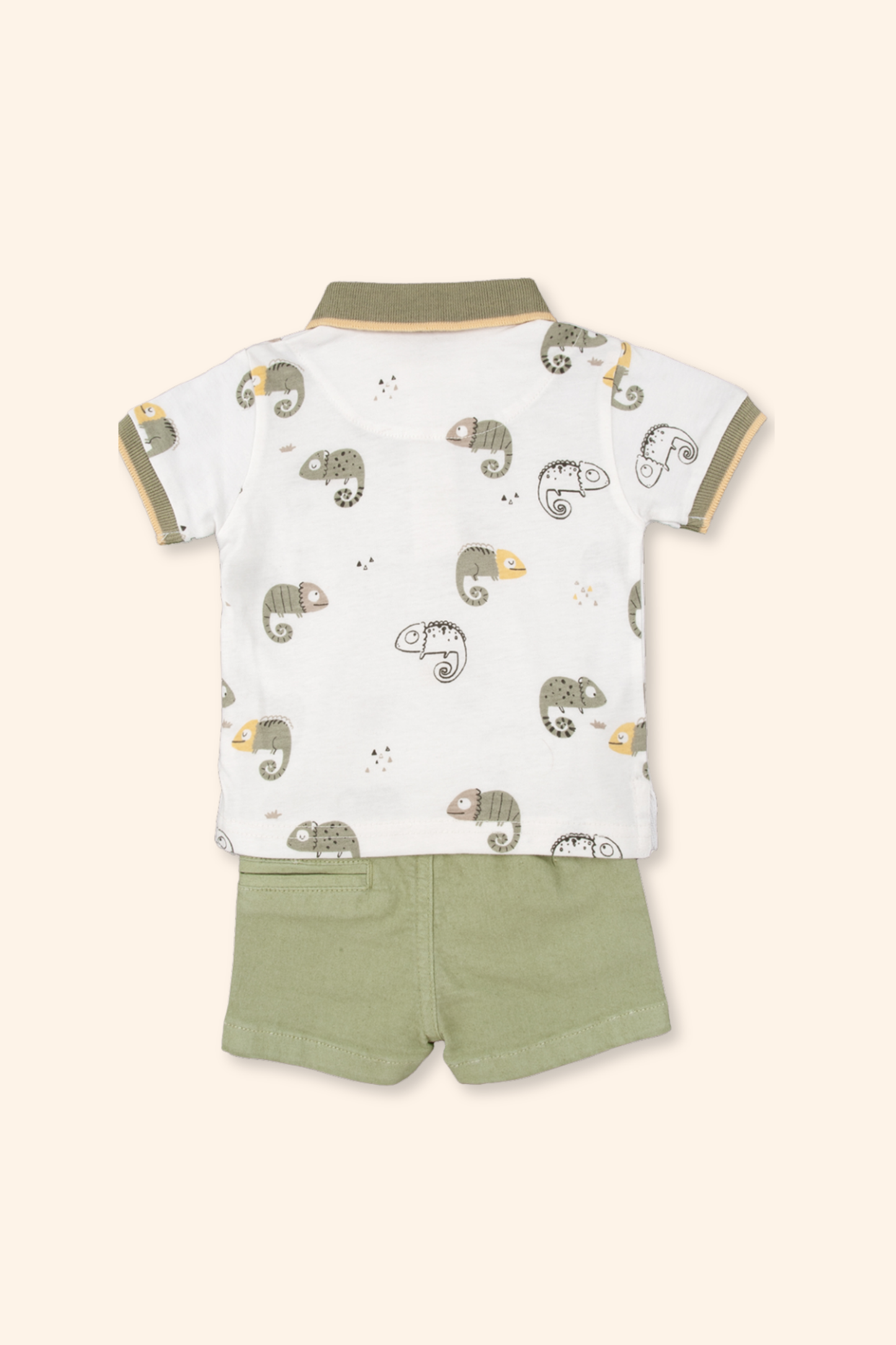 Conjunto Camaleão