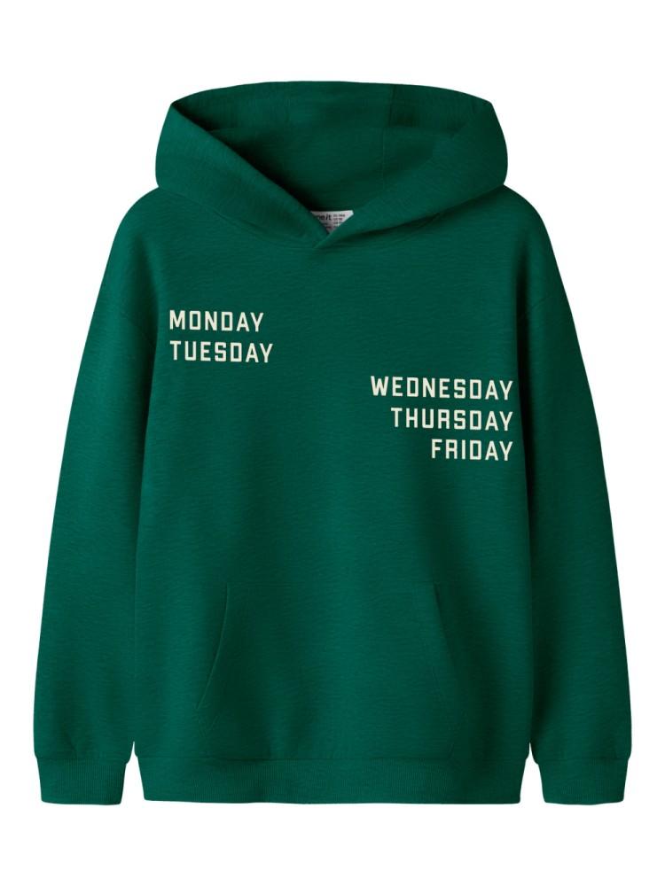 Sweatshirt com Capuz Cinzenta