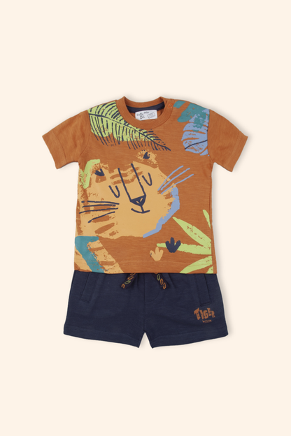 Conjunto Rei Leão
