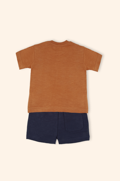 Conjunto Rei Leão