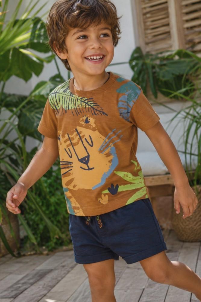 Conjunto Menino Rei Leão