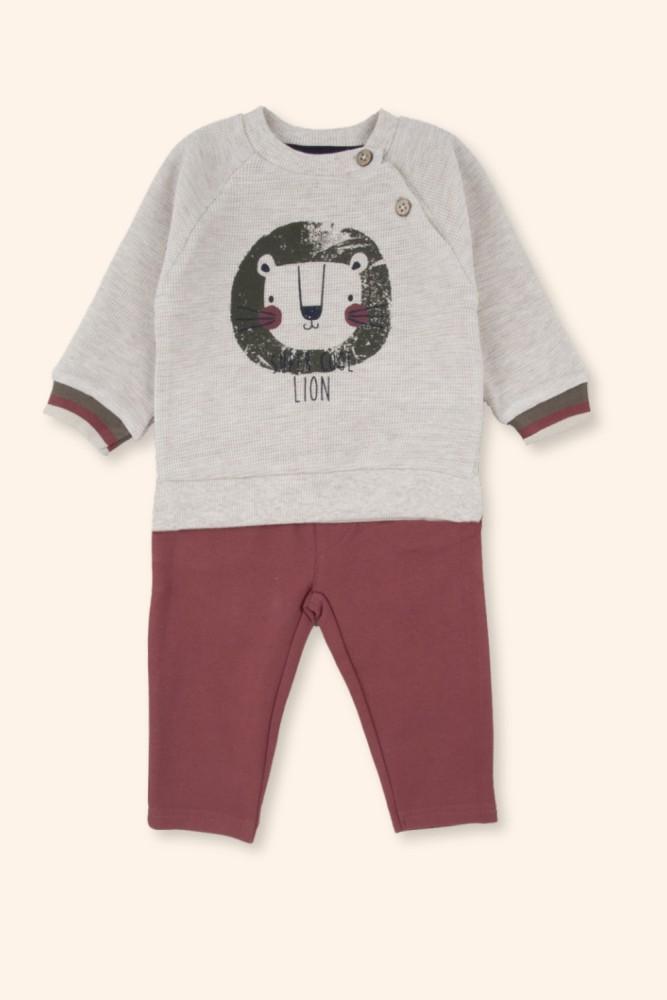 Conjunto Menino Leão