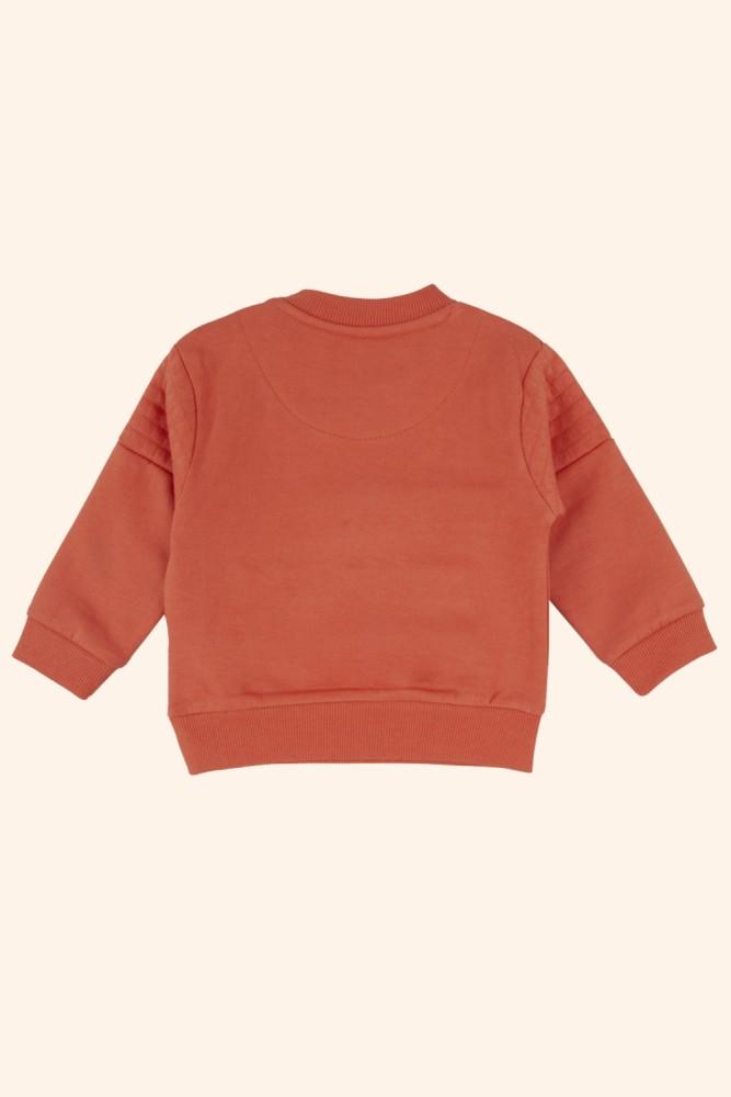 Sweatshirt Menino Astrossauros